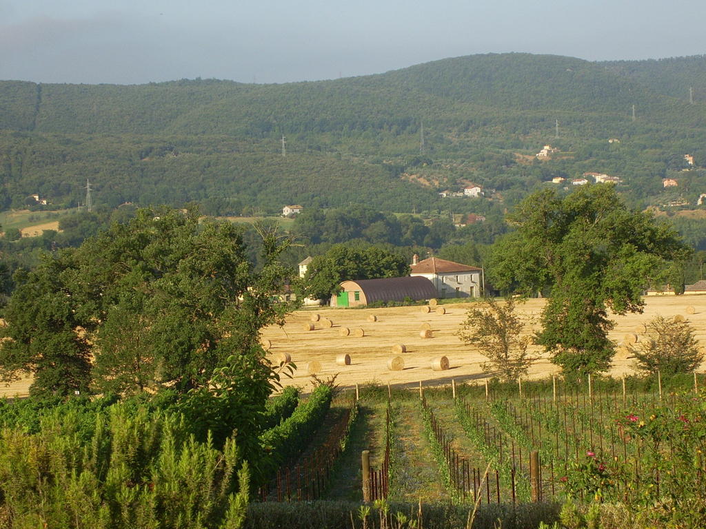Agriturismo Regno Verde 나르니 외부 사진