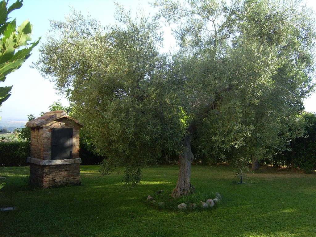 Agriturismo Regno Verde 나르니 외부 사진