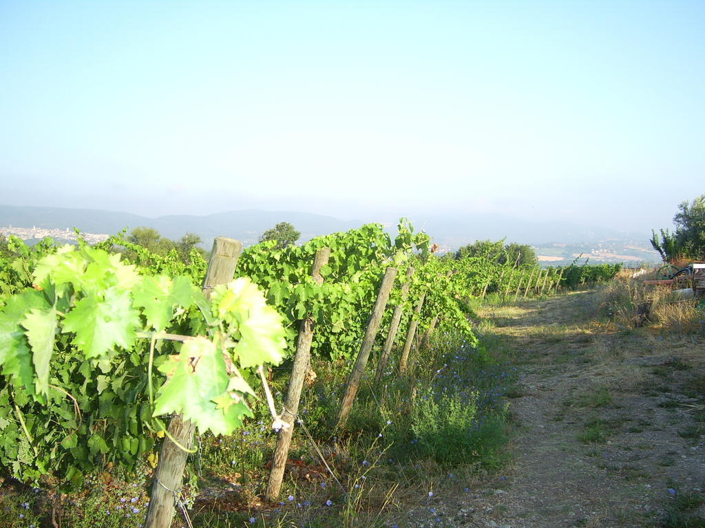 Agriturismo Regno Verde 나르니 외부 사진