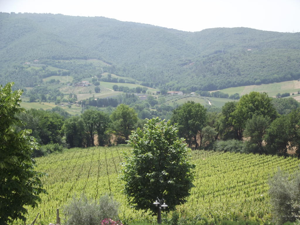 Agriturismo Regno Verde 나르니 외부 사진